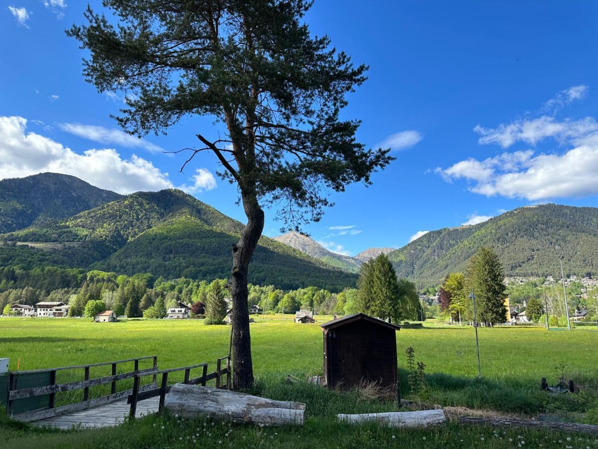 Camping La Pineta