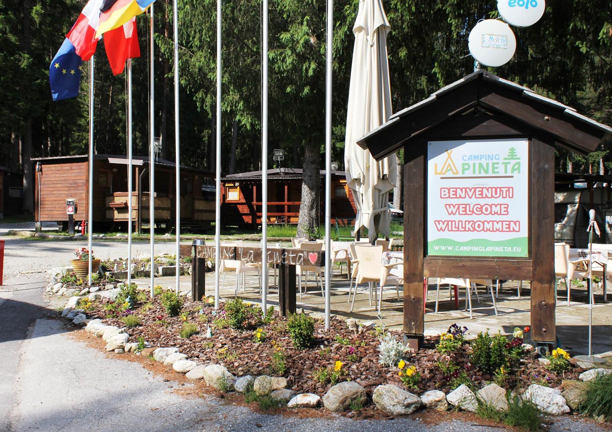 La Pineta *